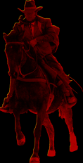 Western All-Around Horse